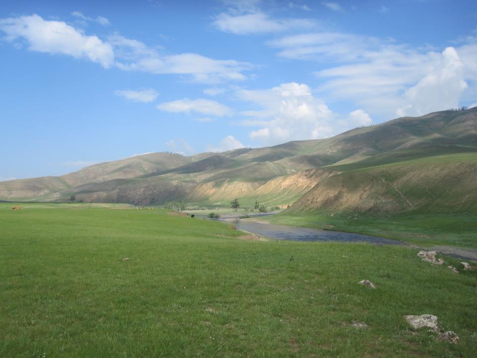 מונגוליה 